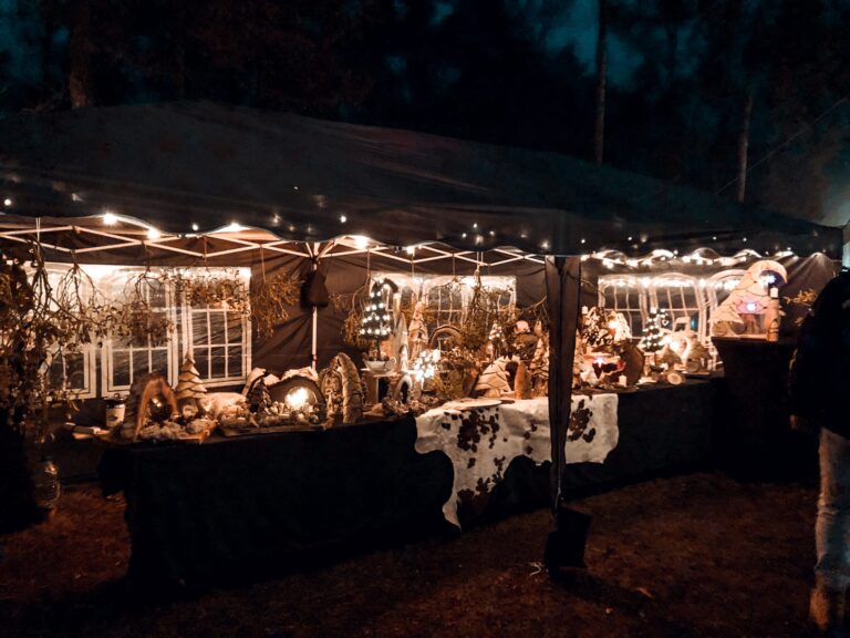 So war unser erster Mittelalter-Weihnachtsmarkt in Hosena – eine Premiere voller Magie